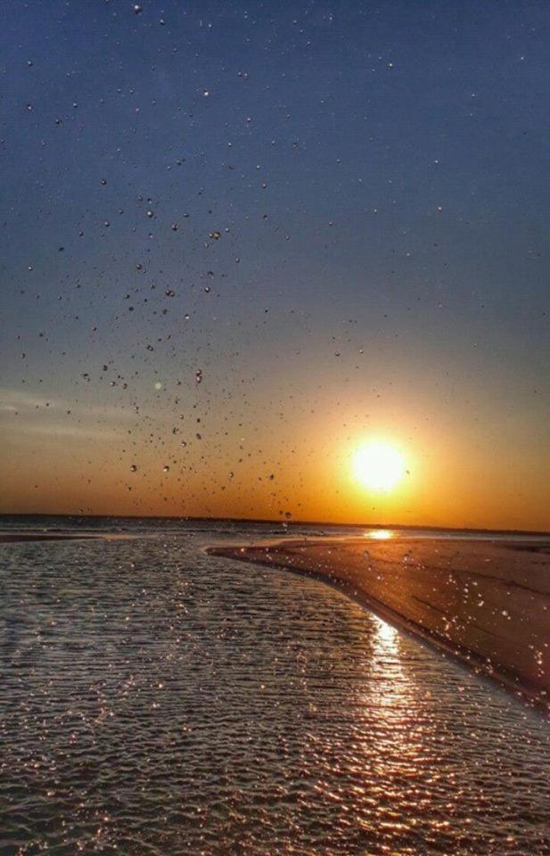 Pousada Praia Mansa - Ana E Agnaldo Superagui Exteriör bild